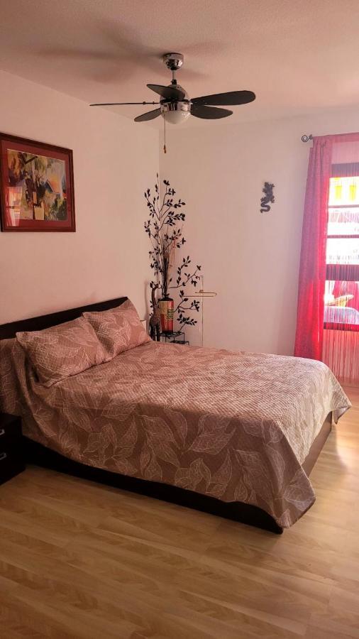 Oceanfront Beach Apartment La Arena 푸에르토 데 산티아고 외부 사진